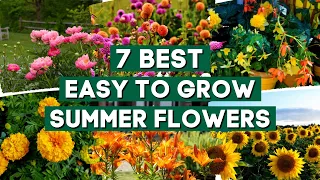 Download 7 Easy to Grow Summer Flowers to Plant in Your Garden🌺🌸🌼 // PlantDo Garden 💚 MP3