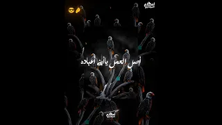 اوعدكم الفتره الجايه   اسلام السوهاجي  حالات واتس  اكسبلور          كوميديات  تحشيش دندنها