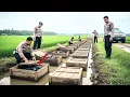 Lagu PALEMBANG GEMPAR‼️ Puluhan Jasad Dalam Peti Ditemukan di Area Sawah, Polisi Ungkap Jejak Pelaku!