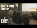 Lagu 2001: A Space Odyssey | Dawn of Man: Opening Monolith Scene | Warner Classics