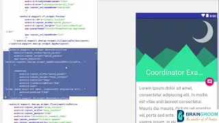 CH 11 Coordinator Layout mp4