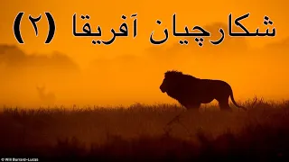 مستند حیات وحش شکارچیان آفریقا قسمت ۲ 