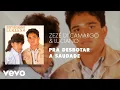 Download Lagu Zezé Di Camargo \u0026 Luciano - Prá Desbotar a Saudade (Áudio Oficial) ft. Fátima Leão