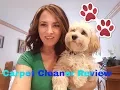 Honest pet carpet cleaner review Natures Miracle v Folex v Odoban How to remove pet urine odor