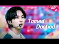 Download Lagu [최초공개] ENHYPEN(엔하이픈) - Tamed-Dashed (4K) | ENHYPEN COMEBACKSHOW | Mnet 211012 방송