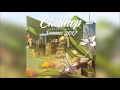 GYVUS - Lemon Tea