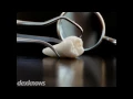 Great River Oral Maxillofacial Surgery Dubuque IA 52003-7405