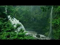 Música para Dormir com Som de Chuva e Natureza - Relaxar e Acalmar a Mente