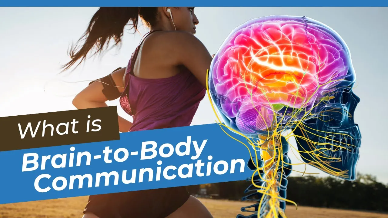 Upper Cervical Educational Video
