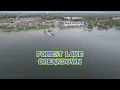 Forest Lake Minnesota Breakdown