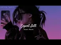 ​Expert Jatt 🔥✨ (Slowed + Reverb) | Full Audio Edit | @Cozy_lyrics 🎧