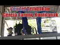 Download Lagu Masteran Cendet Gereja Tarung Kuntilanak #masterankuntilanak #masterancendet