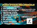 Download Lagu 🔰lagu Bugis spesial lagu slow dut 2025 enak buat santai dan pengantar tidur