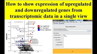 Volcano plot RNA seq data with volcano plot create Volcano plot in TBTool