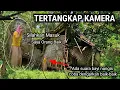 Download Lagu IMPOSSIBLE, I DON'T BELIEVE IT!! CAMERA Caught Someone Living in This Unbelievable House