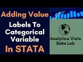 4 How to add Value Labels to a Categorial Variable in STATA