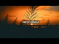 Anuel AA - Ella Quiere Beber (Remix) ft. Romeo Santos (Letra / Lyrics)