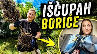 Košenje trave i čišćenje dvorišta...a onda su STIGLE nove šerpe!