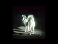 Fat Dog - Show Me The Way
