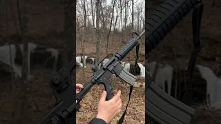 AR-15 Bushmaster