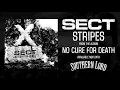 Download Lagu SECT - Stripes (officiële audio)
