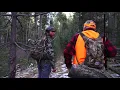 elk hunt