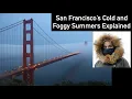 Why Summers in San Francisco Are So Cold and Foggy