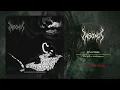 Download Lagu Insonus - The Will to Nothingness (Black Metal Italy) (Full Album) #blackmetal