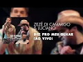 Zezé Di Camargo & Luciano - Diz Pro Meu Olhar (Ao Vivo) (Áudio Oficial)