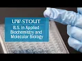 B S Applied Biochemistry Molecular Biology UW-Stout