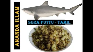 Download Sura(Shark fish) Puttu from America! MP3