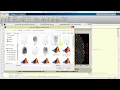 Fingerprint Recognition Matching Using Matlab Project Image Processing Fingerprint Detection