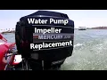 Mercury Outboard - Water Pump Impeller Replacement