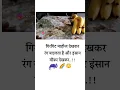 Download Lagu #india #funny #ringtone