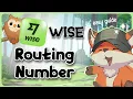 Wise Routing Number 2026 Where to Find It and Why Using the Wrong One Delays Transfers