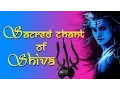 Download Lagu Maha Shivratri Special 2025 \