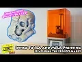 Resin 3D Printing SLA vs MSLA vs FDM - Elegoo Mars Review and Setup