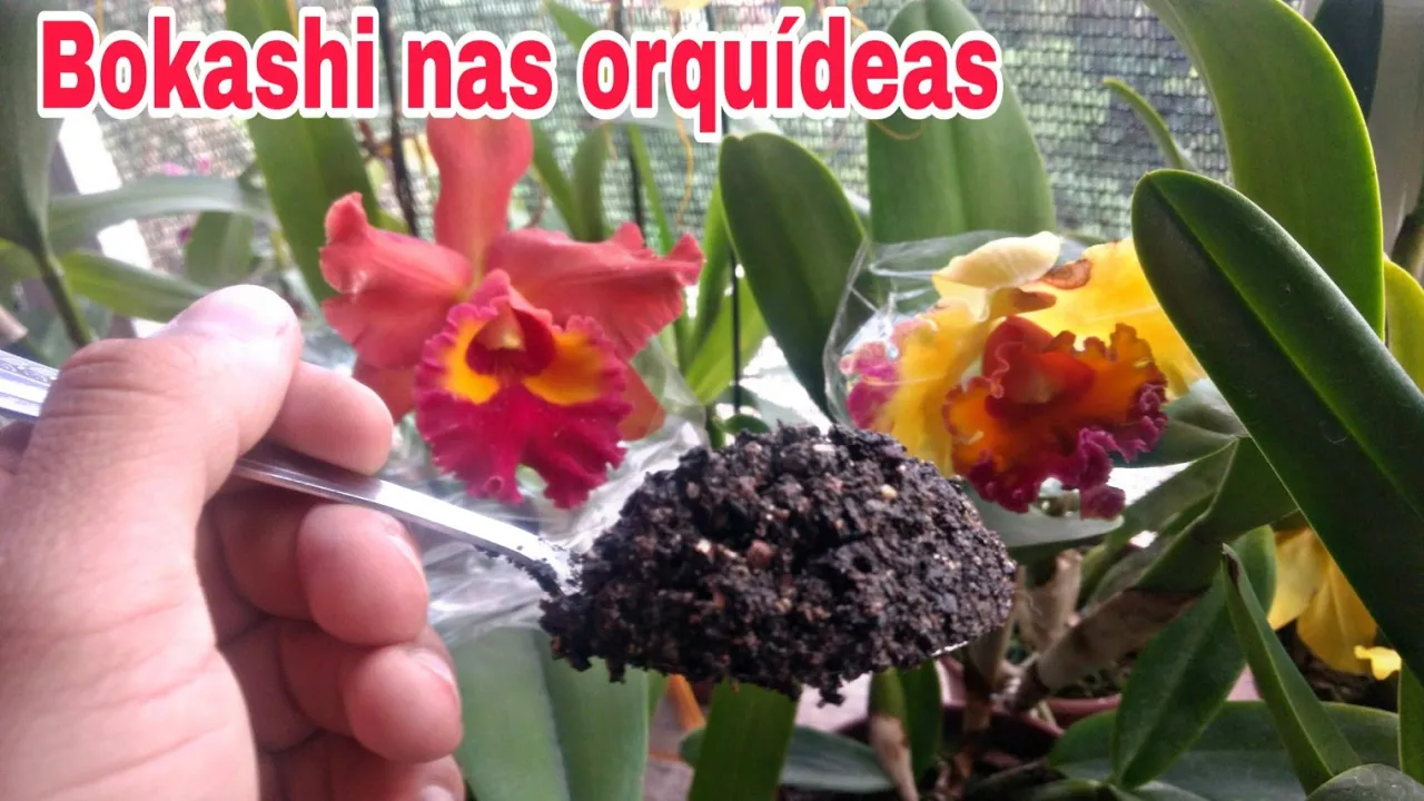 COMO USAR BOKASHI NAS ORQUÍDEAS
