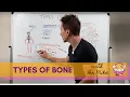 Types of Bones
