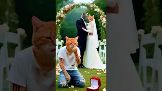 القط مياو قدم الخاتم فرفضته واتجوزت غيره قدامه بس النهاية كانت مفاجأة Shorts Cat Ai Sad 