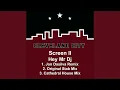 Lagu Hey Mr DJ (Stab Mix)