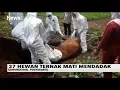 Download Lagu WASAPADA ANTRAKS! 37 Hewan Ternak di Gunungkidul Mati Mendadak - iNews Sore 21/01