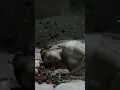 Download Lagu Aku jatuh cinta banget sama lagu ini
