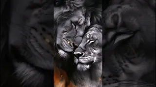 ١٢ يونيو ٢٠٢٥ 