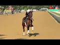 The Final Morning of Training Before Epic 2026 Whitney Stakes Showdown Sovereignty and More