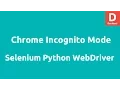 Python Selenium Open Chrome Incognito Browser Tab