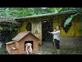 Download Lagu Alleenstaande moeder Ly Tieu Ly bouwt een huis voor haar hond tijdens tyfoon Matmo