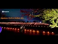 Japanese Chill & Mellow Mix【Vol.3】【RnB / HIP HOP / CITY POP】