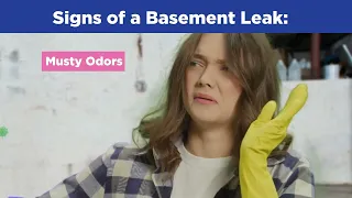 DryZone Basement Systems - Your Local Basement Waterproofing Experts