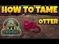 How to Tame Otter in ARK FJORDUR Guide